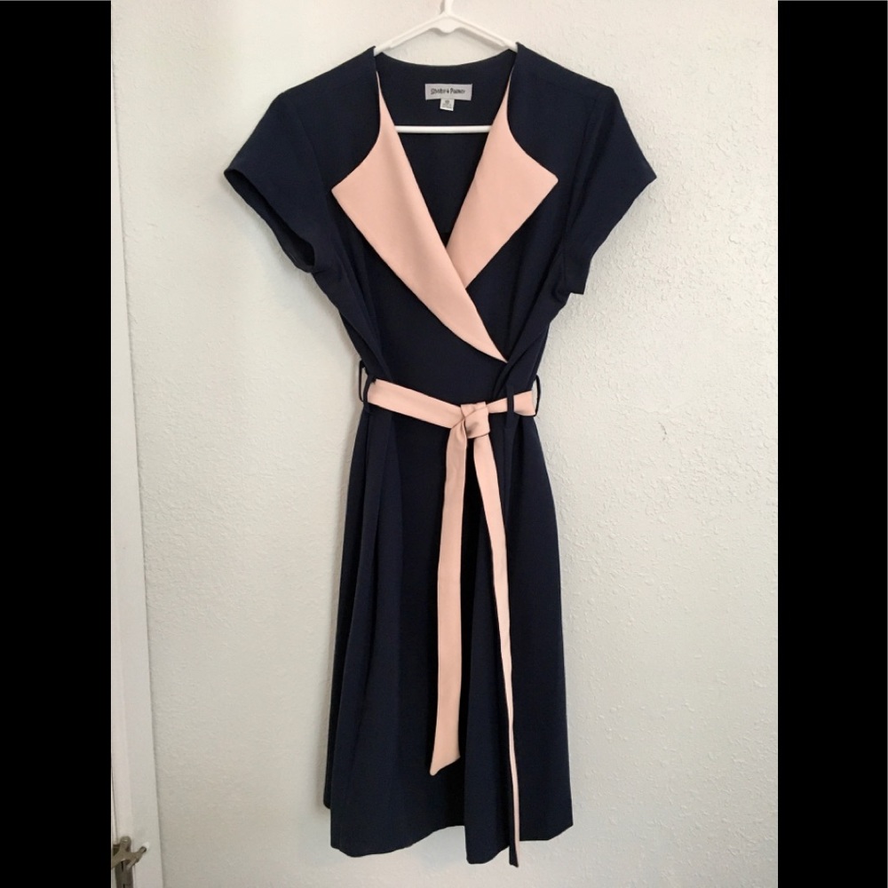 Pink and Navy Vintage Vibes Dress